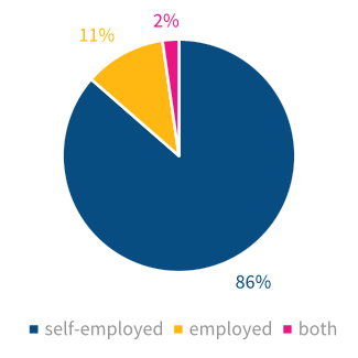 Share of personal trainers in Germany by type of occupation